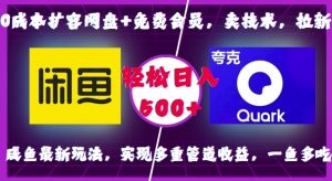 0成本扩容网盘+免费会员,卖技术,拉新,咸鱼最新玩法,实现多重管道收益,一鱼多吃,轻松日入500+-知一资源网