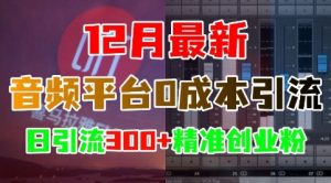 12月最新:音频平台0成本引流,日引流300+精准创业粉-知一资源网