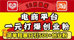 12月最新：电商平台1元打爆创业粉，简单粗暴日引500+精准创业粉，轻松月入过W【揭秘】-知一资源网