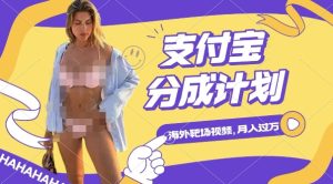 利用海外靶场射击视频，挣支付宝分成收益，轻松月入过W【揭秘】-知一资源网