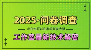 2025问卷调查最新工作室技术解密:一个人在家也可以闷声发大财,小白一天2张,可矩阵放大【揭秘】-知一资源网
