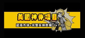 美团神券神会员_入门级教程,外卖券膨胀推广项目【全网首发,全新蓝海】-知一资源网
