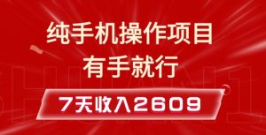纯手机操作的小项目，有手就能做，7天收入2609+实操教程【揭秘】-知一资源网