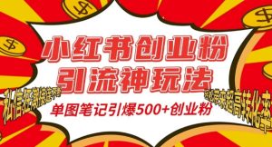 小红书创业粉引流神玩法,单图笔记引爆500+精准创业粉丝,私信狂潮接连不断-知一资源网