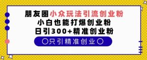 朋友圈小众玩法引流创业粉,小白也能打爆创业粉,日引300+精准创业粉【揭秘】-知一资源网