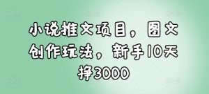 小说推文项目,图文创作玩法,新手10天挣3000-知一资源网