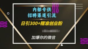 内部招聘渠道日引流300+创业粉,加爆你的微信【揭秘】-知一资源网