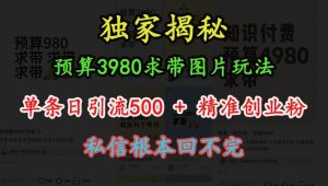 预算3980求带 图片玩法,单条日引流500+精准创业粉,私信根本回不完-知一资源网