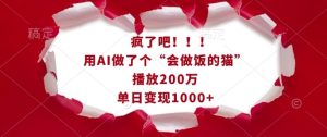 疯了吧!用AI做了个“会做饭的猫”,播放200万,单日变现1k-知一资源网