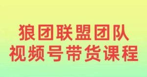 狼团联盟2024视频号带货,0基础小白快速入局视频号-知一资源网