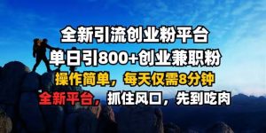 全新引流创业粉平台 单日引800+,创业兼职粉,操作简单,每天仅需8分钟【仅揭秘】-知一资源网