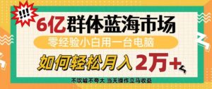 6亿群体蓝海市场,零经验小白用一台电脑,如何轻松月入过w【揭秘】-知一资源网