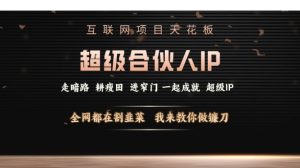 互联网项目天花板,超级合伙人IP,全网都在割韭菜,我来教你做镰刀【仅揭秘】-知一资源网