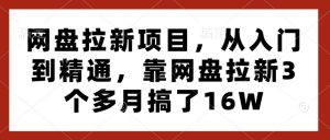 网盘拉新项目,从入门到精通,靠网盘拉新3个多月搞了16W-知一资源网