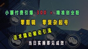 小额付费引爆 300 + 精准创业粉,零剪辑、零复杂起号,话术撬动被动引流,当日实操即见成效-知一资源网