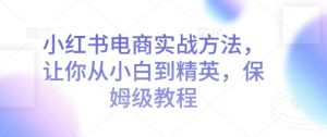 小红书电商实战方法,让你从小白到精英,保姆级教程-知一资源网