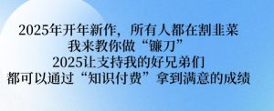 2025年开年新作,所有人都在割韭菜,我来教你做“镰刀” 2025让支持我的好兄弟们都可以通过“知识付费”拿到满意的成绩【揭秘】-知一资源网