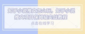 知乎小说推文怎么玩,知乎小说推文项目保姆级实战教程-知一资源网