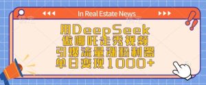 用DeepSeek做哪吒走秀视频,引爆流量涨粉利器,单日变现1k-知一资源网