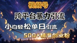 跨平台暴力引流,私域完美闭环,日引500+精准创业粉-知一资源网