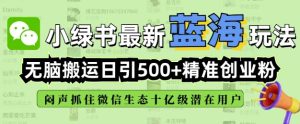 小绿书无脑搬运引流,全自动日引500精准创业粉,微信生态内又一个闷声发财的机会-知一资源网