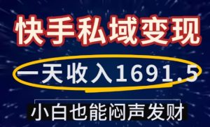 一天收入1691.5,快手私域变现,小白也能闷声发财-知一资源网
