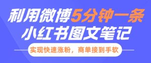 小红书利用微博5分钟一条图文笔记,实现快速涨粉,商单接到手软-知一资源网