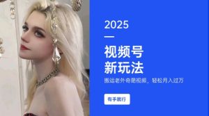 搬运老外奇葩视频，撸视频号分成计划收益，每天只需一小时，新手小白轻松月入过W-知一资源网