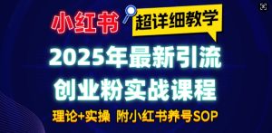 2025年最新小红书引流创业粉实战课程【超详细教学】小白轻松上手，月入1W+，附小红书养号SOP-知一资源网