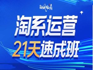 淘系运营21天速成班35期,年前最后一波和2025方向-知一资源网