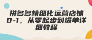 拼多多精细化运营店铺0-1，从零起步到爆单详细教程-知一资源网