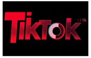 TikTok ads投流秘籍,涵盖tiktok整体投放思路,教你搭建测试计划-知一资源网