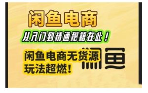 闲鱼电商实战课,从入门到精通秘籍在此,闲鱼电商无货源玩法超燃!-知一资源网
