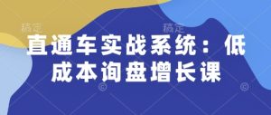 直通车实战系统:低成本询盘增长课,让个人通过技能实现升职加薪,让企业低成本获客,订单源源不断-知一资源网