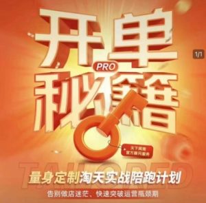 淘宝开单秘籍PRO,量身定制淘天实战陪跑计划,告别做店迷茫、快速突破运营瓶颈期-知一资源网