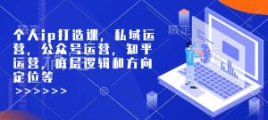 个人ip打造课,私域运营,公众号运营,知乎运营,底层逻辑和方向定位等-知一资源网