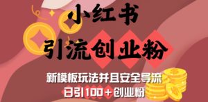 小红书引流创业粉,新模板玩法并且安全导流,日引100+创业粉-知一资源网
