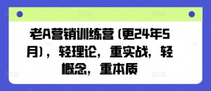 老A营销训练营(更25年1月),轻理论,重实战,轻概念,重本质-知一资源网