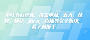 小红书必修课,覆盖电商,无人,获客,种草,mcn,直播等多个板块,看了就能干-知一资源网