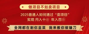 必看,做项目不如卖项目,2025普通人如何通过“卖项目”实现月入十个,年入百个-知一资源网