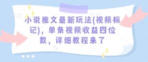 小说推文最新玩法(视频标记)，单条视频收益四位数，详细教程来了-知一资源网