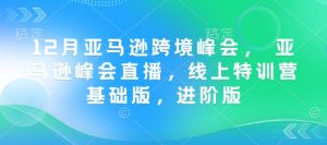 12月亚马逊跨境峰会, 亚马逊峰会直播,线上特训营基础版,进阶版-知一资源网
