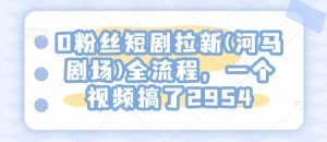 0粉丝短剧拉新(河马剧场)全流程,一个视频搞了2954-知一资源网