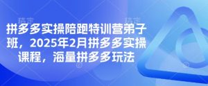 拼多多实操陪跑特训营弟子班,2025年2月拼多多实操课程,海量拼多多玩法-知一资源网