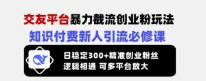 交友平台暴力截流创业粉玩法,知识付费新人引流必修课,日稳定300+精准创业粉丝,逻辑相通可多平台放大-知一资源网