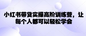 小红书带货实操高阶训练营,让每个人都可以轻松学会-知一资源网