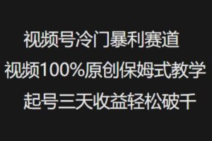 视频号冷门暴利赛道视频100%原创保姆式教学起号三天收益轻松破千-知一资源网