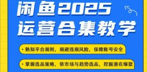 2025闲鱼电商运营全集,2025最新咸鱼玩法-知一资源网