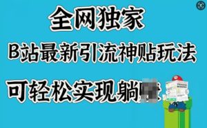 全网独家,B站最新引流神贴玩法,可轻松实现躺Z-知一资源网