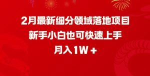 2月最新细分领域落地项目,新手小白也可快速上手,月入1W-知一资源网